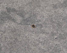 Lataa kuva Galleria-katseluun, Ruokapöytä metallirungolla
